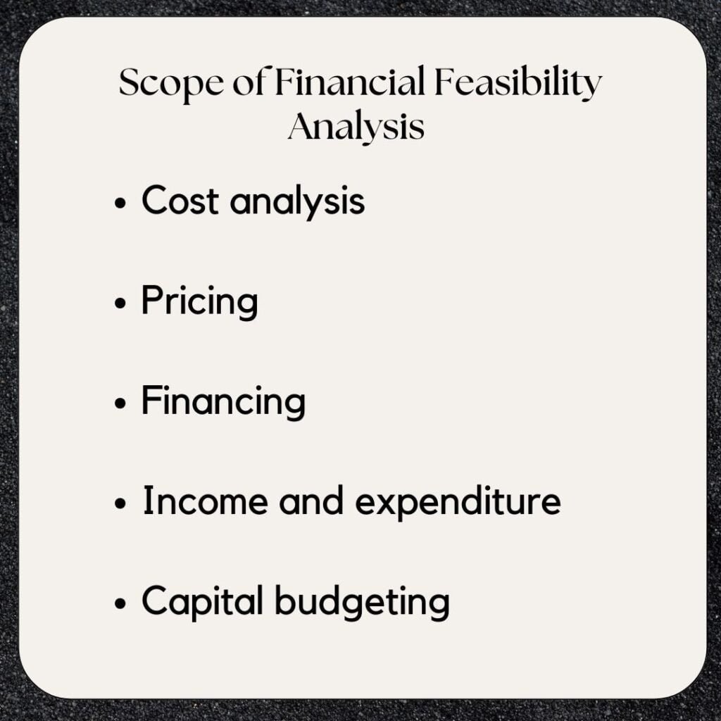Scope of Financial Feasibility Analysis 
