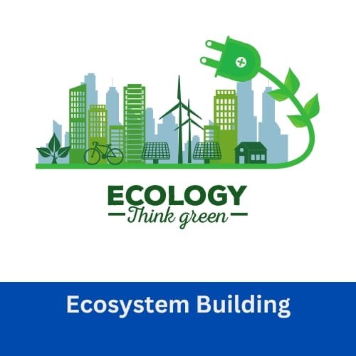 Ecosystem Building