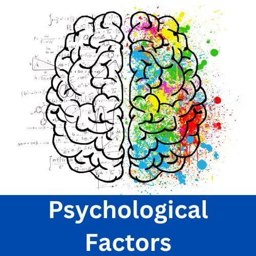 Psychological Factors