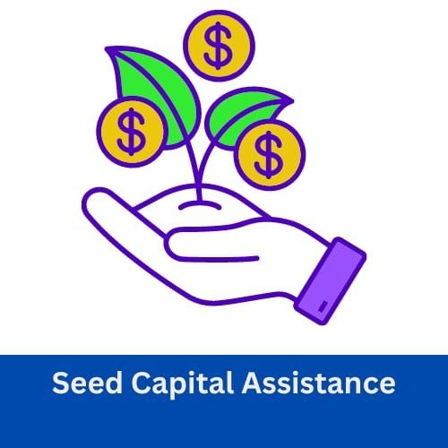 Seed Capital Assistance Seed Capital Assistance