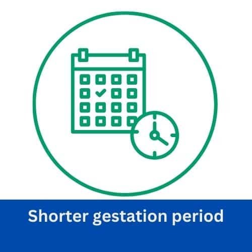 Shorter gestation period