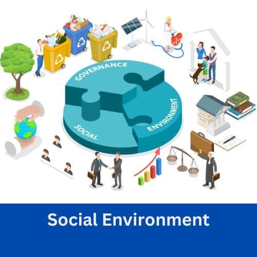 Social Environment