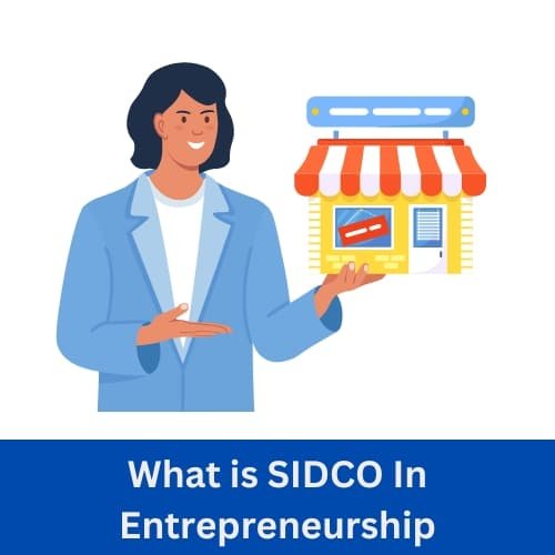 SIDCO In Entrepreneurship What is SIDCO In Entrepreneurship