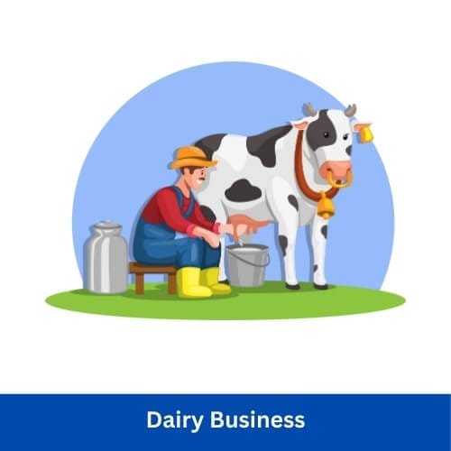 Dairy Business
